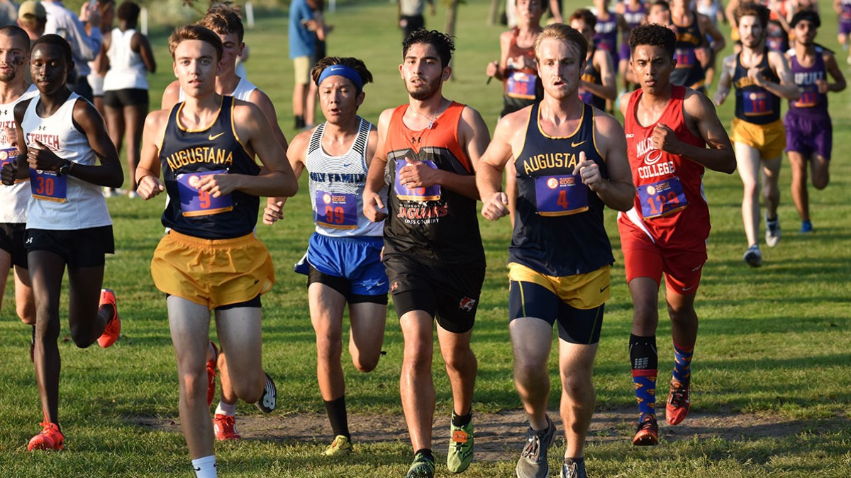 Men's Cross Country: Season-in-Review