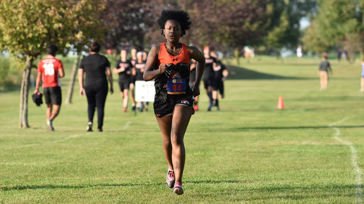 Women's Cross Country Places 7th at Midwest Intercollegiate