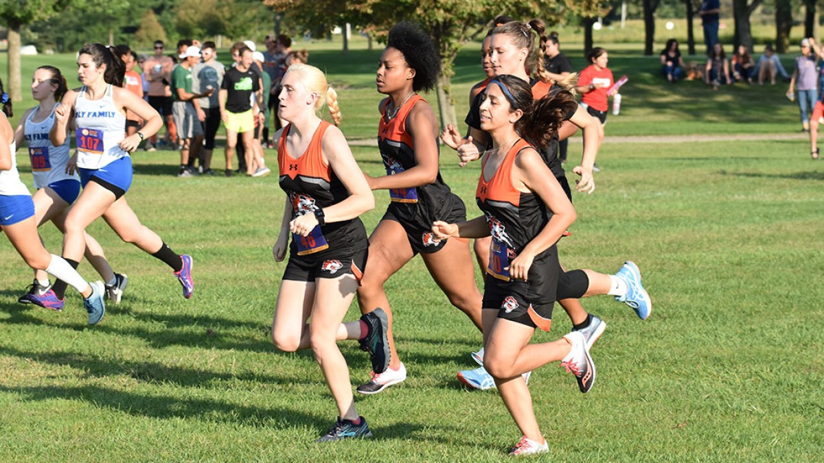 Women's Cross Country: Season-in-Review