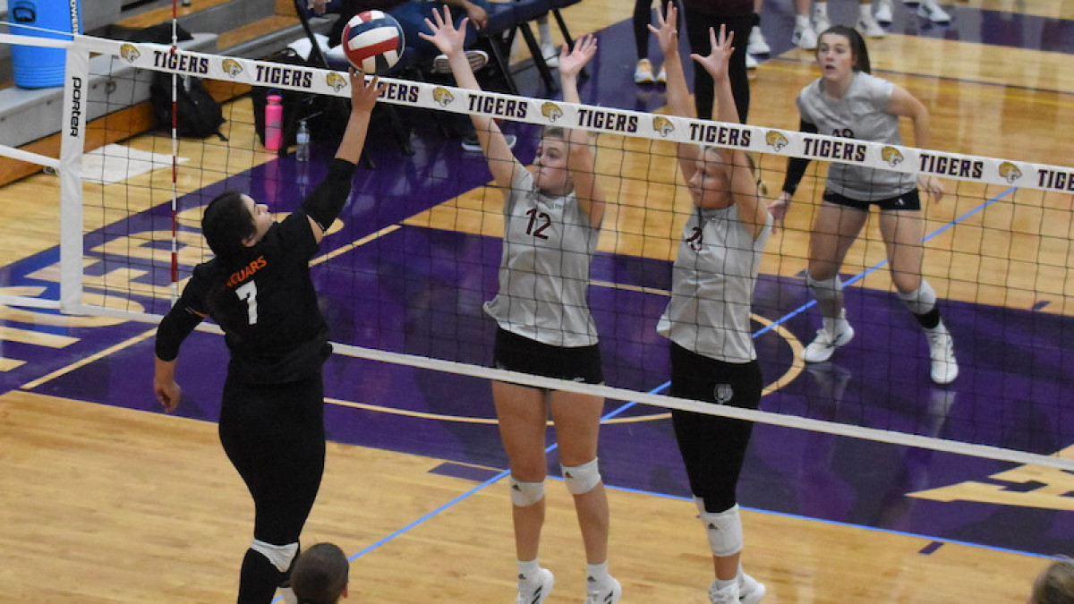 GSU SUFFERS ROAD LOSS AGAINST ST. AMBROSE