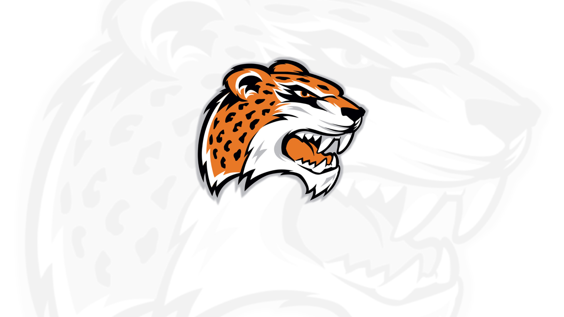 Men's Volleyball Summer Camp Dates Set July 15-17 - Registration Links -