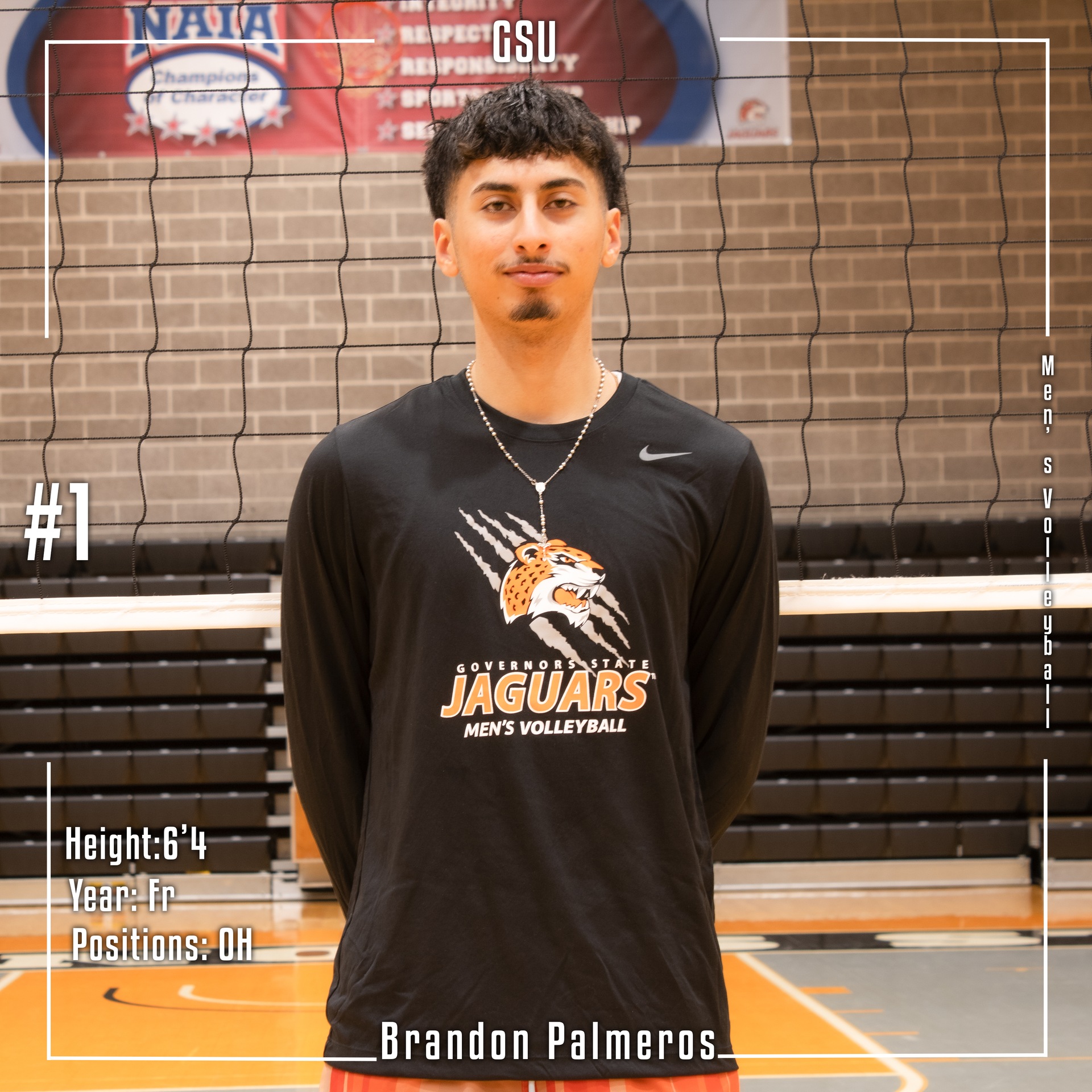 B. Palmeros photo thumbnail